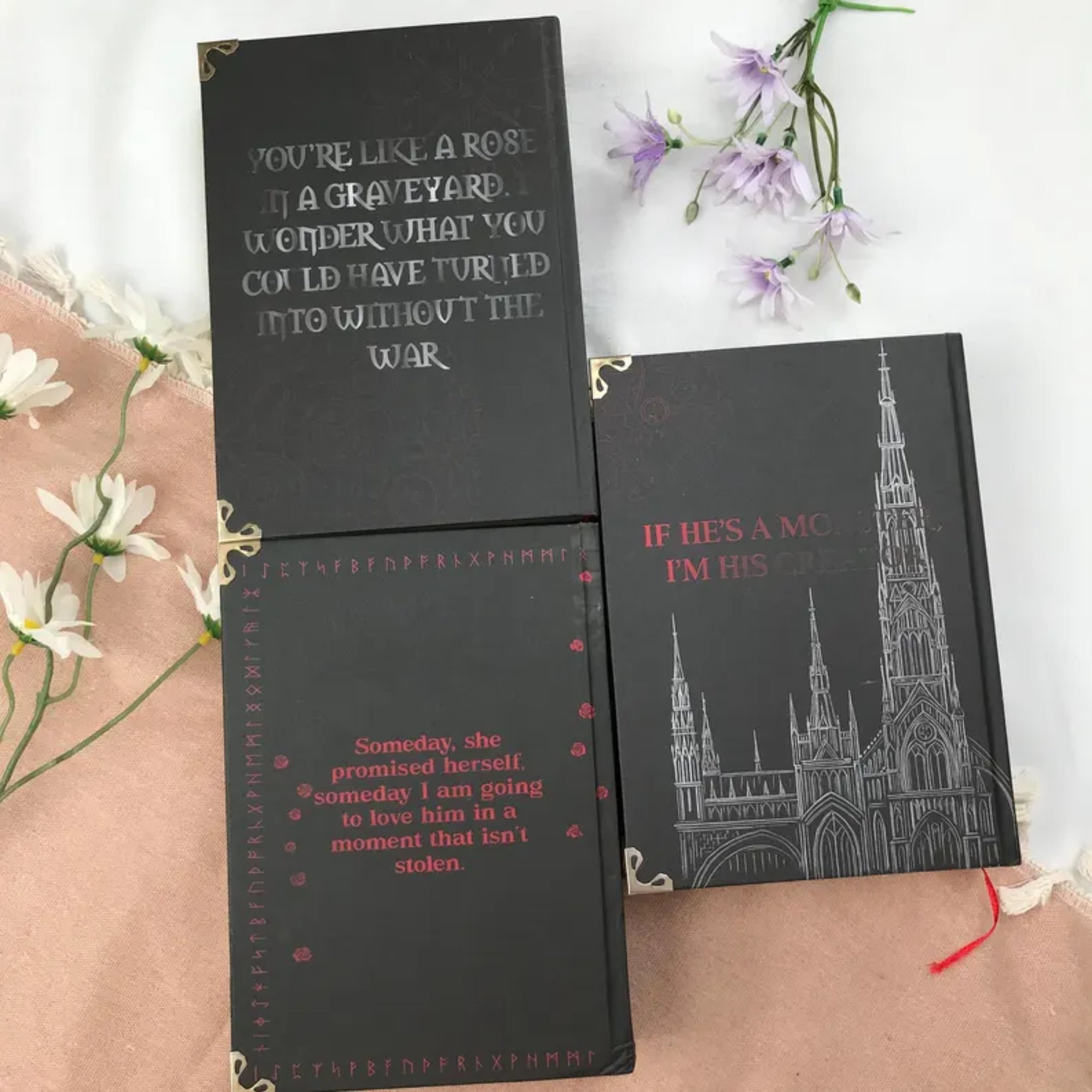 Alchemised Hardcover Book Set – Dark Fantasy Illustration Collection, Magical Alchemy Story, Premium Collectible Gift for Fans