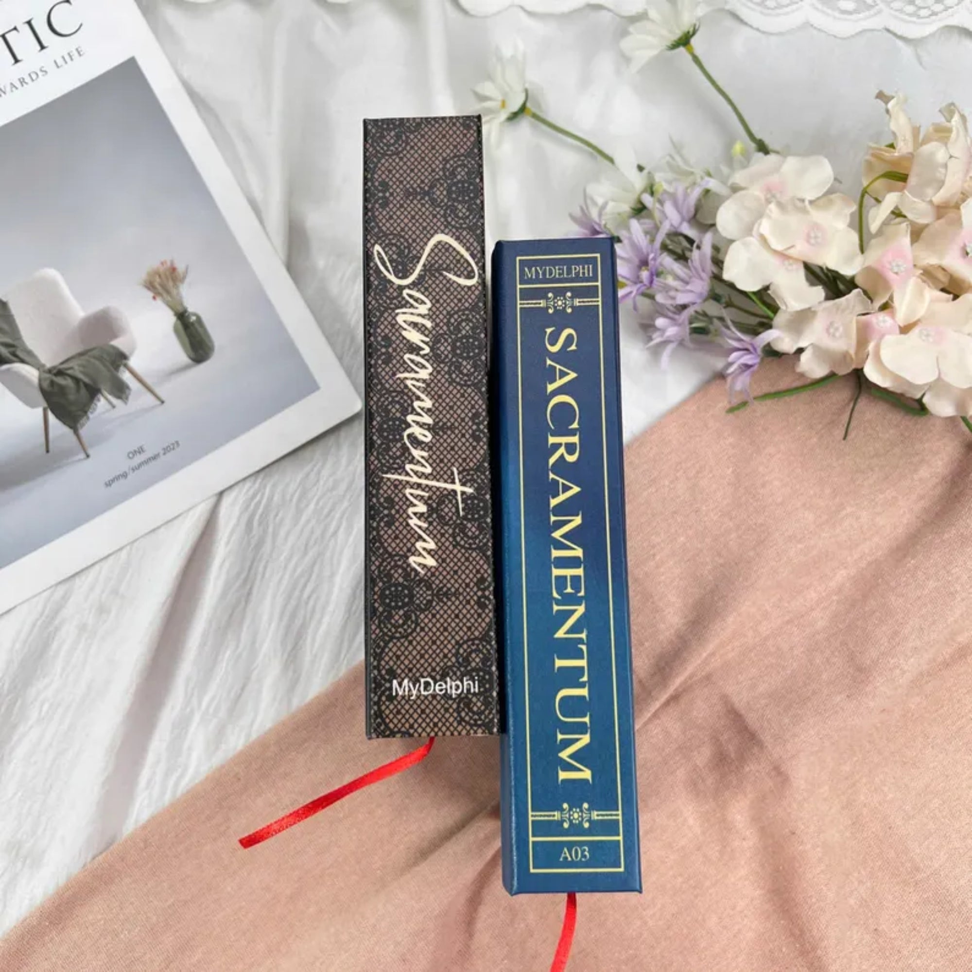 Sacramentum Hardcover Romance Book – LGBTQ+ Young Adult Novel with Dramatic Cover Art