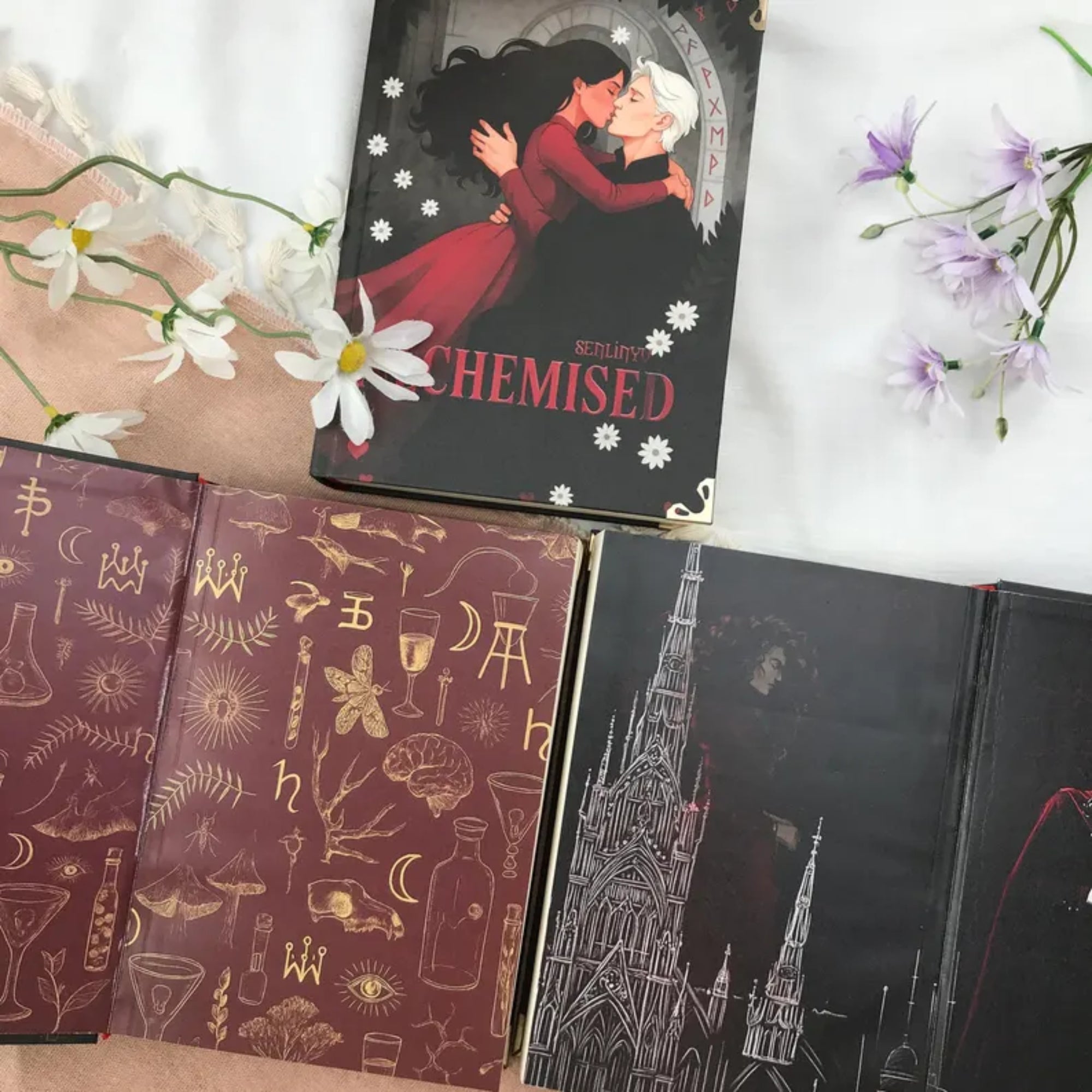 Alchemised Hardcover Book Set – Dark Fantasy Illustration Collection, Magical Alchemy Story, Premium Collectible Gift for Fans
