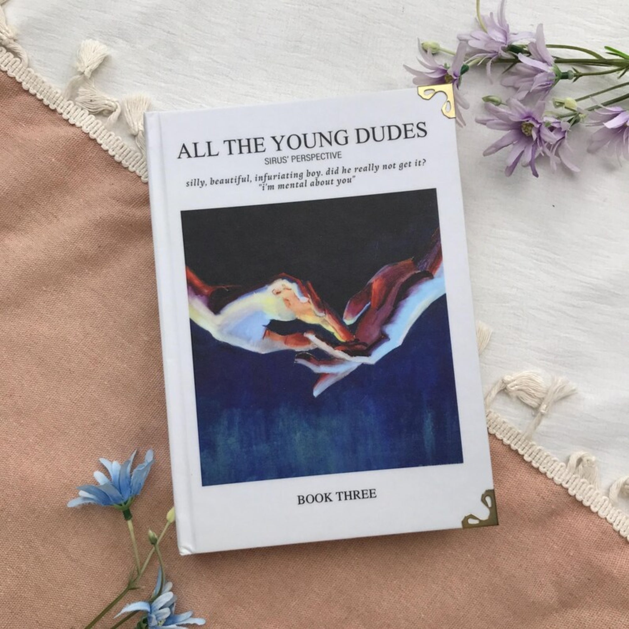 All the Young Dudes Book Set – Sirius’ POV YA Romance Hardcover Collection