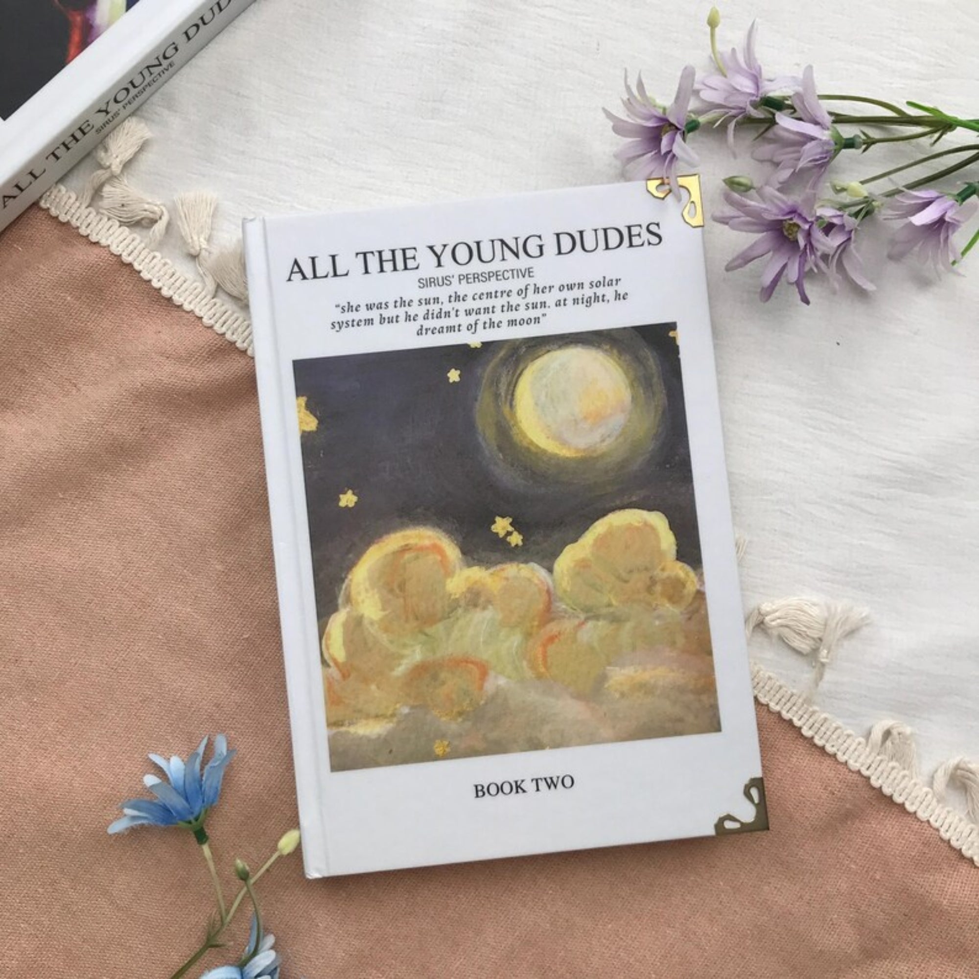 All the Young Dudes Book Set – Sirius’ POV YA Romance Hardcover Collection