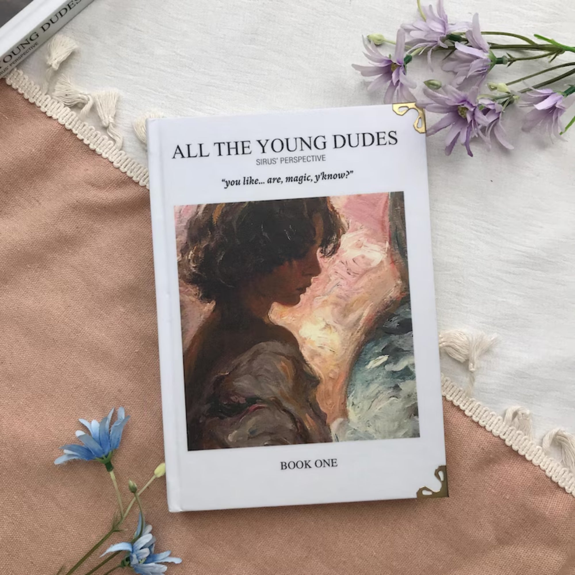 All the Young Dudes Book Set – Sirius’ POV YA Romance Hardcover Collection